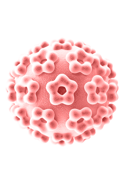 Virus del VPH-HPV