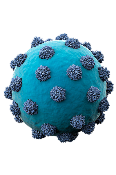 Virus Hepatitis C